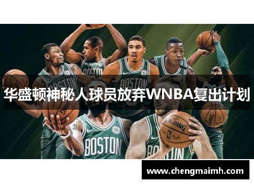 华盛顿神秘人球员放弃WNBA复出计划